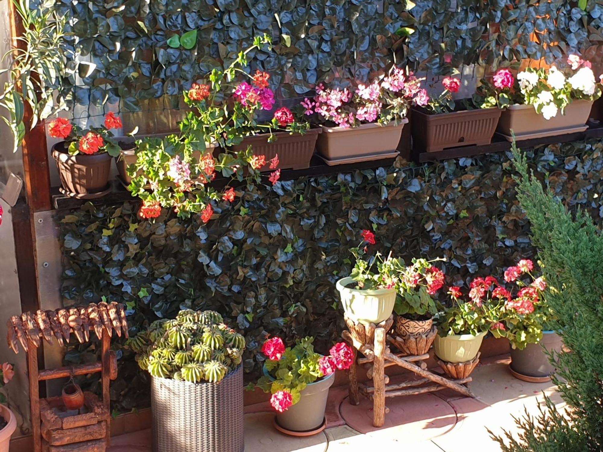 Casa Mary Hotel Costinesti Exterior photo