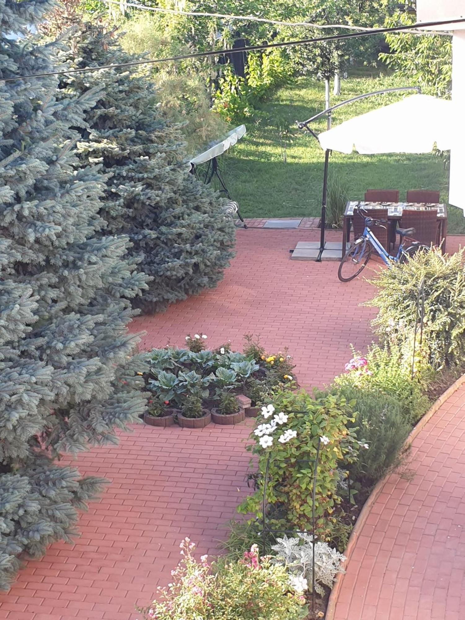 Casa Mary Hotel Costinesti Exterior photo